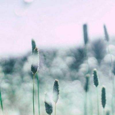 原油：油价重挫 特朗普暂缓打击伊朗能源设施